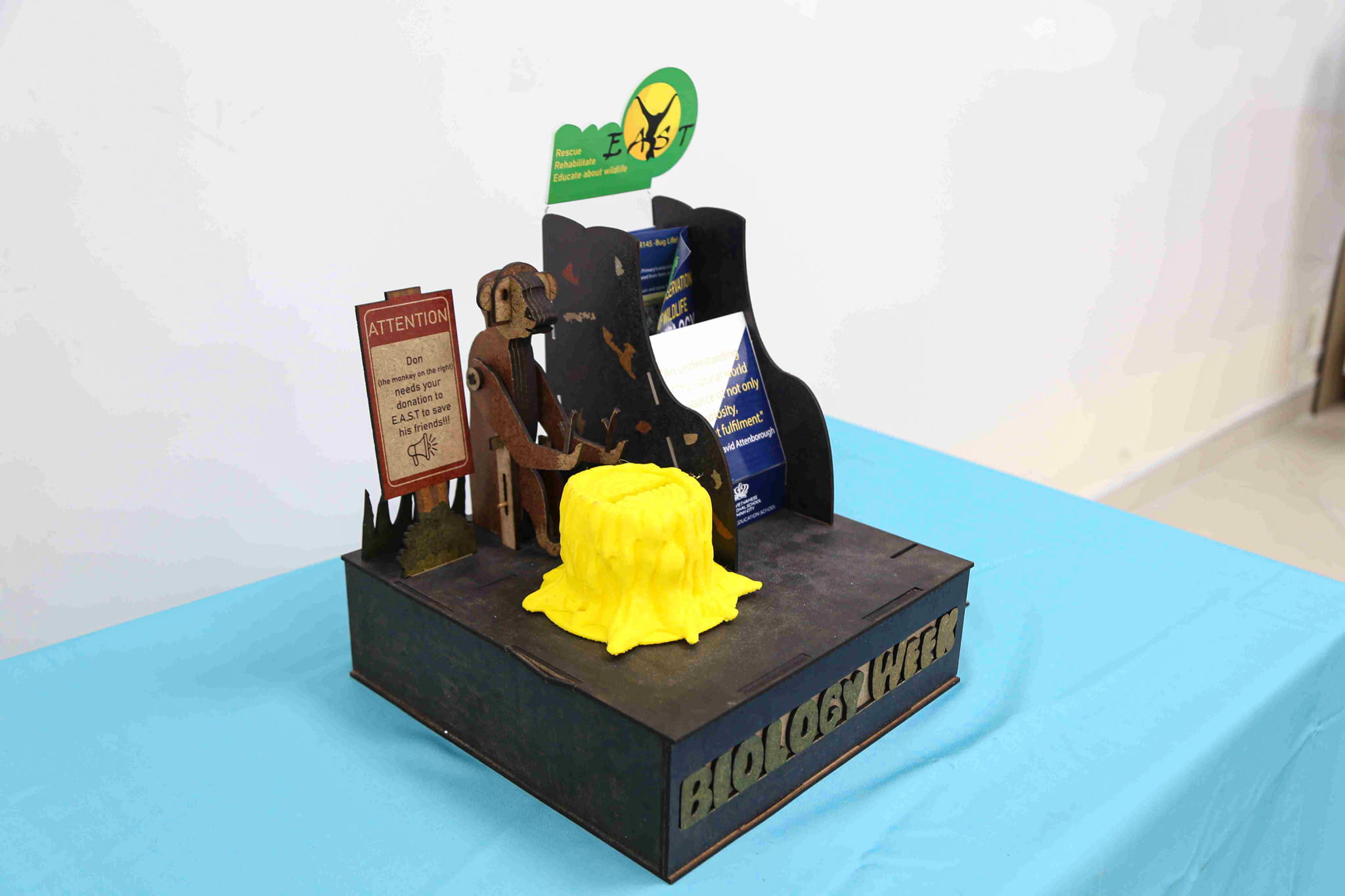 Weekly Highlights 29/08/2025 - Weekly Highlights 29 08 2025