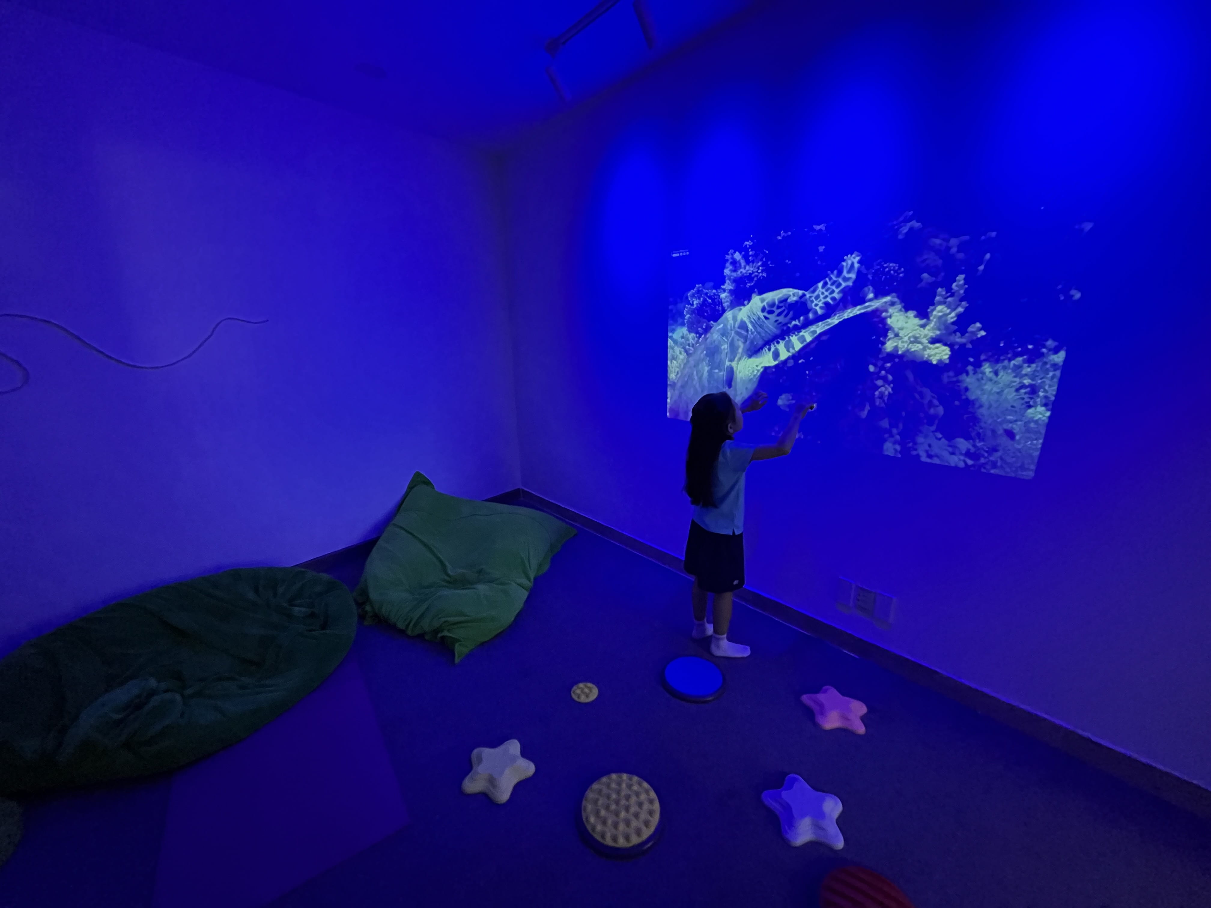 Weekly Highlights 16/01/2025 - Weekly Highlights 16 01 2026