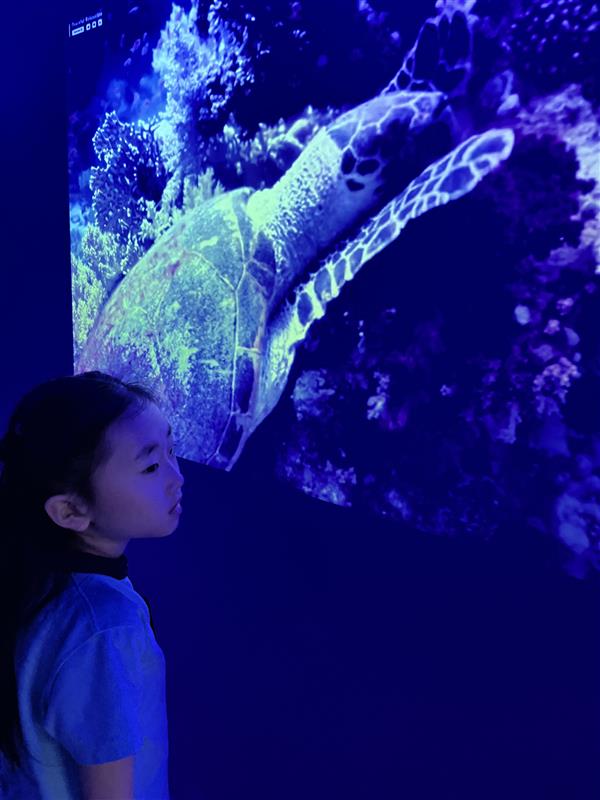 Weekly Highlights 16/01/2025 - Weekly Highlights 16 01 2026