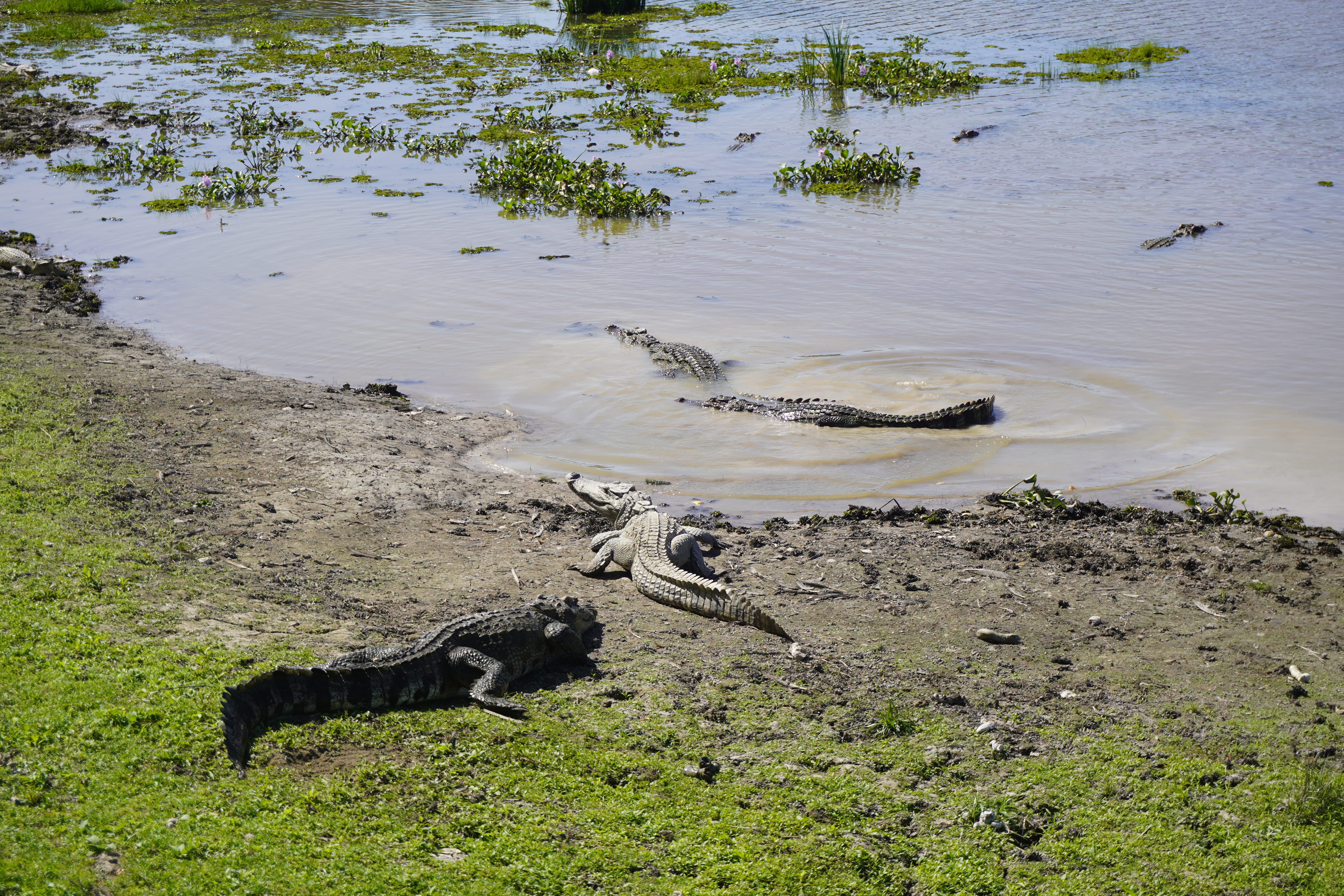 Weekly Highlights 06/02/2026 - Weekly Highlights 06 02 2026