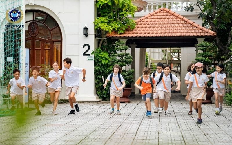 Thiết kế của trường EIS
