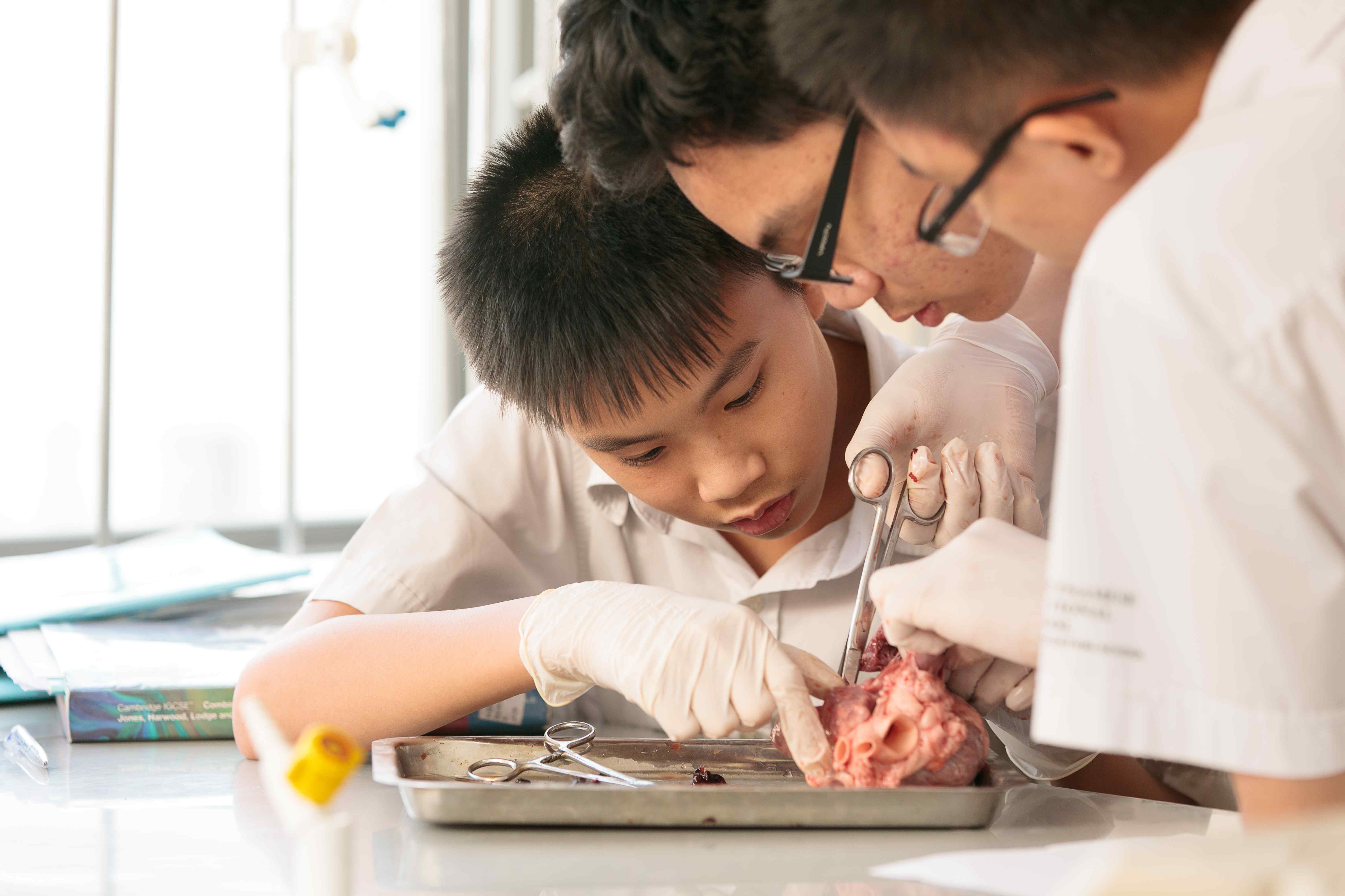 Chuyến thăm của trường Chuyên biệt Rạng Đông - chuyen-biet-rang-dong-school-visited-us-here-at-bvis