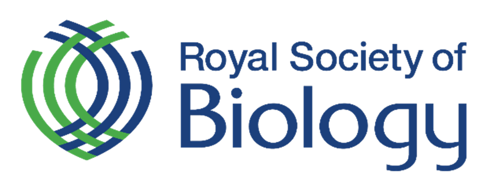 Tiêu Điểm Trong Tuần 17/11/2023 - Weekly Highlights 17 11 2023