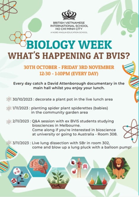 Weekly Highlights 27/10/2023 - Weekly Highlights 27 10 2023