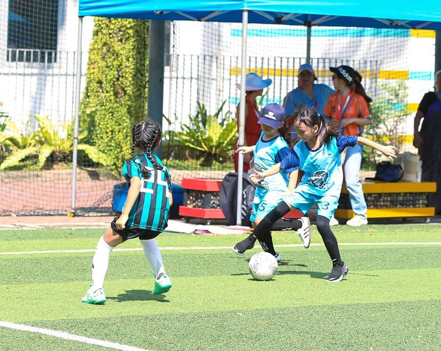 Tiêu Điểm Trong Tuần 15/11/2024 - Weekly Highlights 15 11 2024