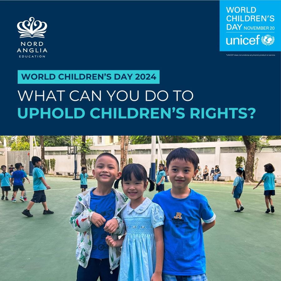 Weekly Highlights 22/11/2024 - Weekly Highlights 22 11 2024