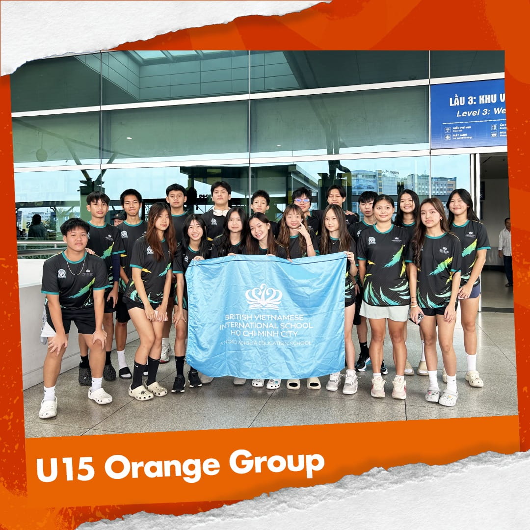 Weekly Highlights 29/11/2024 - Weekly Highlights 29 11 2024