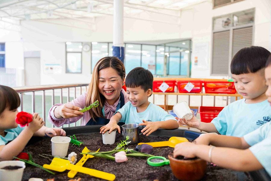 Weekly Highlights 29/11/2024 - Weekly Highlights 29 11 2024