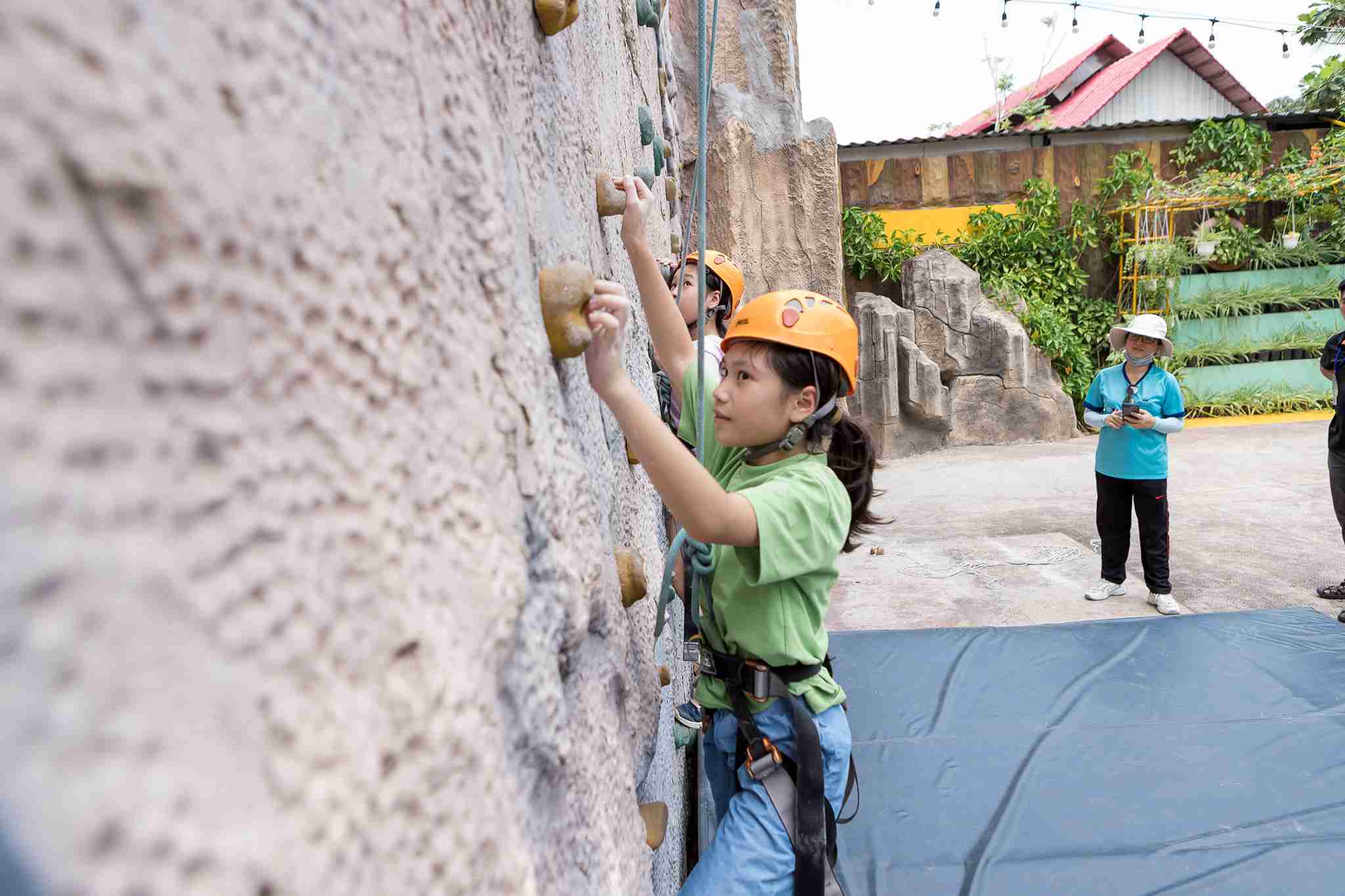 Weekly Highlights 17/01/2025 - Weekly Highlights 17 01 2025