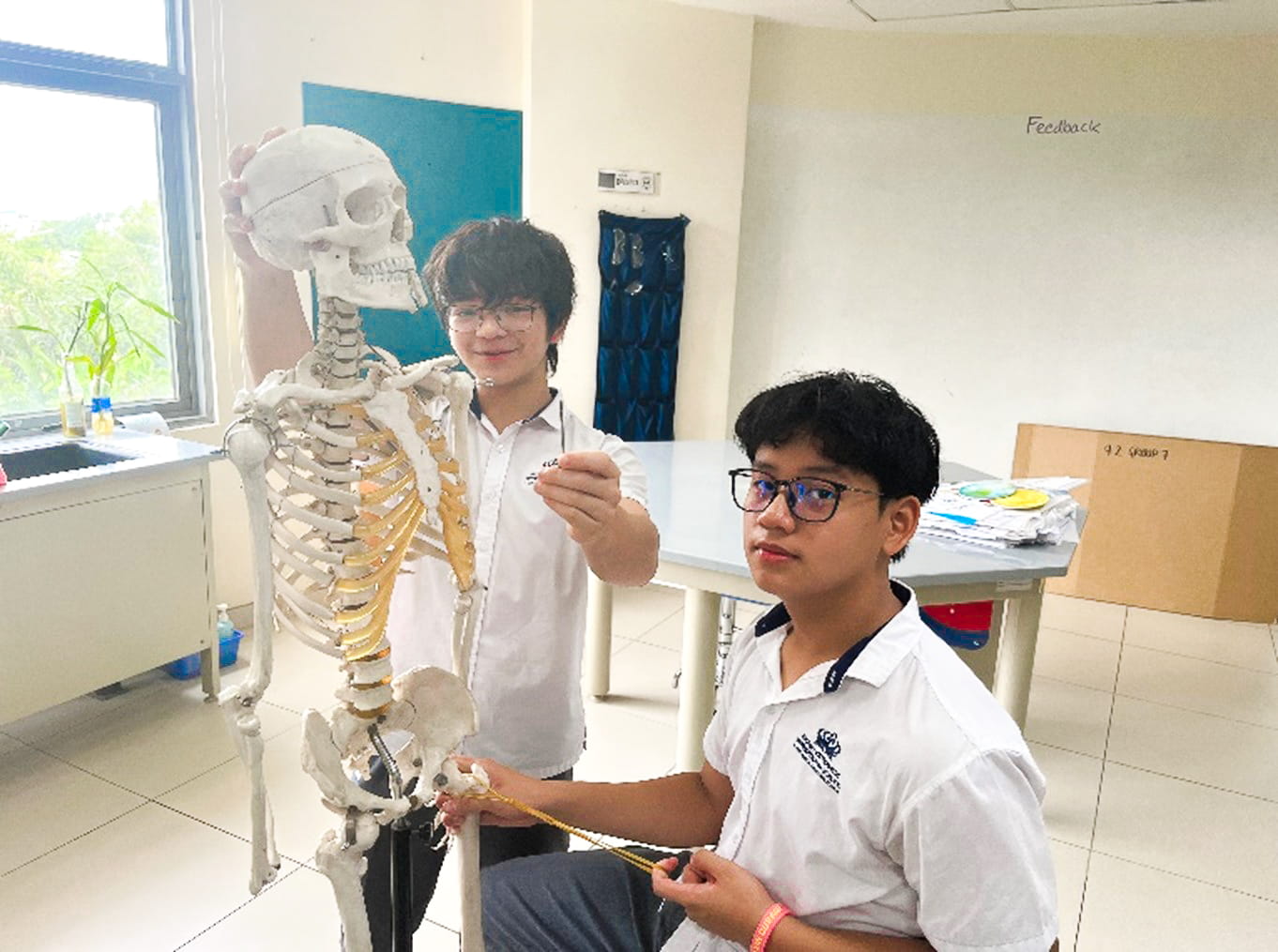 Weekly Highlights 20/06/2025 - Weekly Highlights 20 06 2025