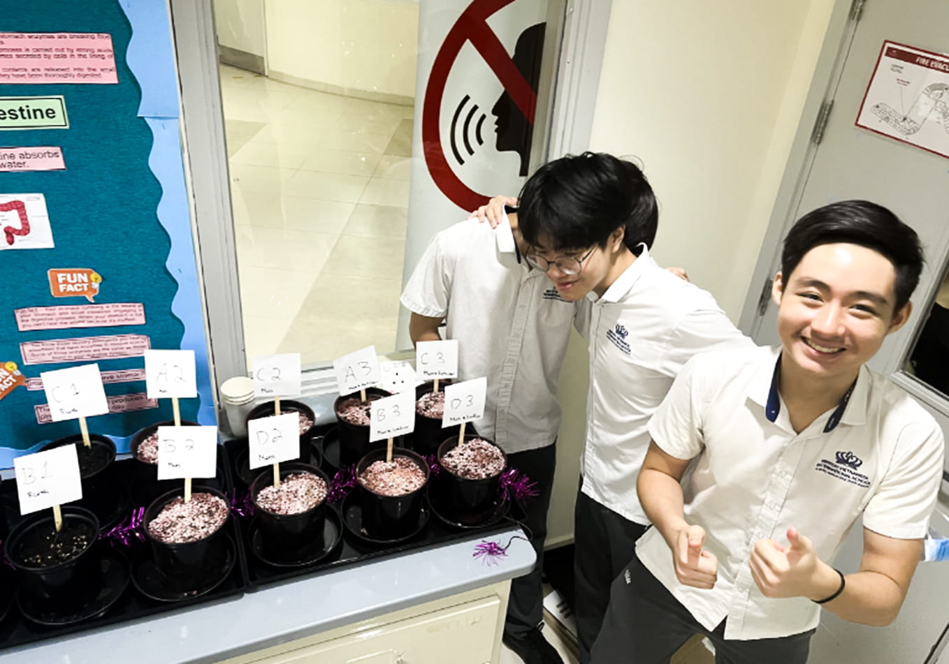 Weekly Highlights 20/06/2025 - Weekly Highlights 20 06 2025