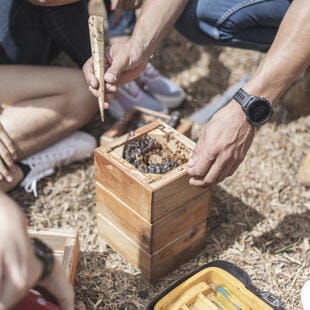 CDS_Costa Rica_Dec_2022_Social_purpose_Beehive