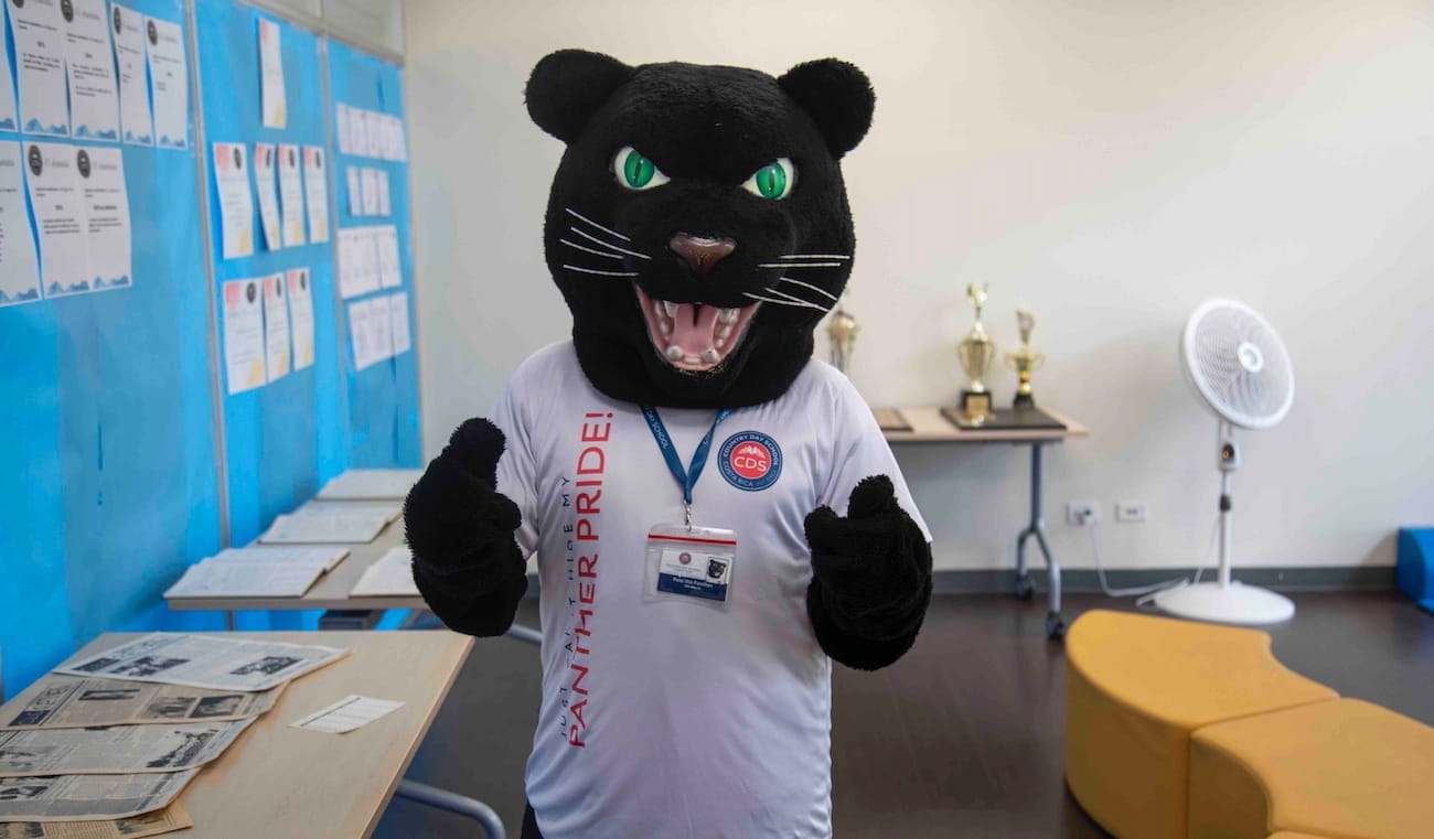 Panther's Corner - Panthers Corner