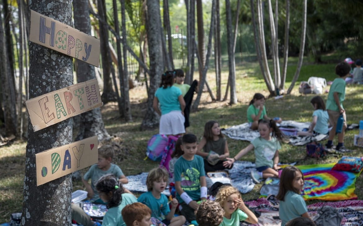 Words from Primary - Words from Primary