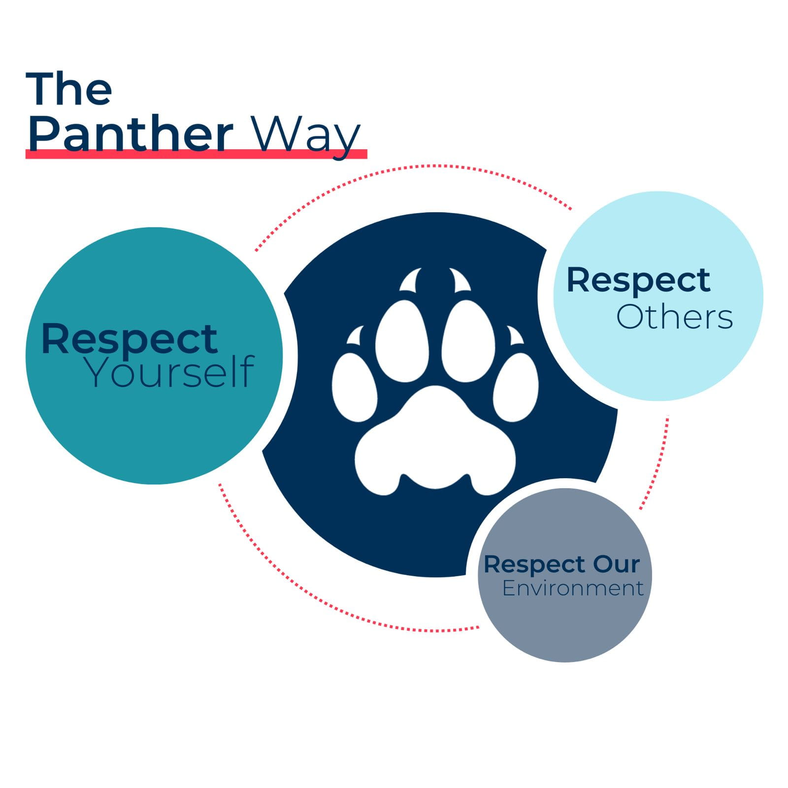 CDS Director’s Blog: The Panther Press - 08 CDS Directors Blog