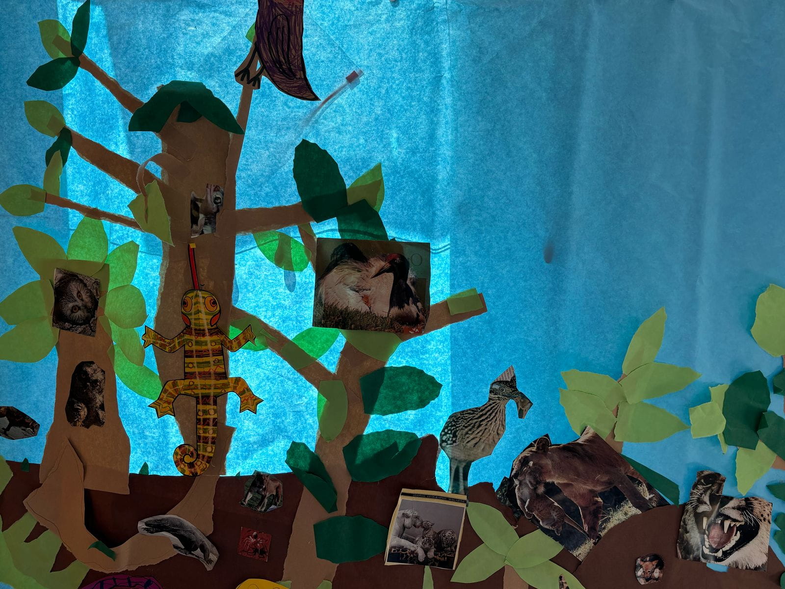 Learning by Doing: Hands-On Exploration in Early Childhood Education - 13 CDS Directors Blog