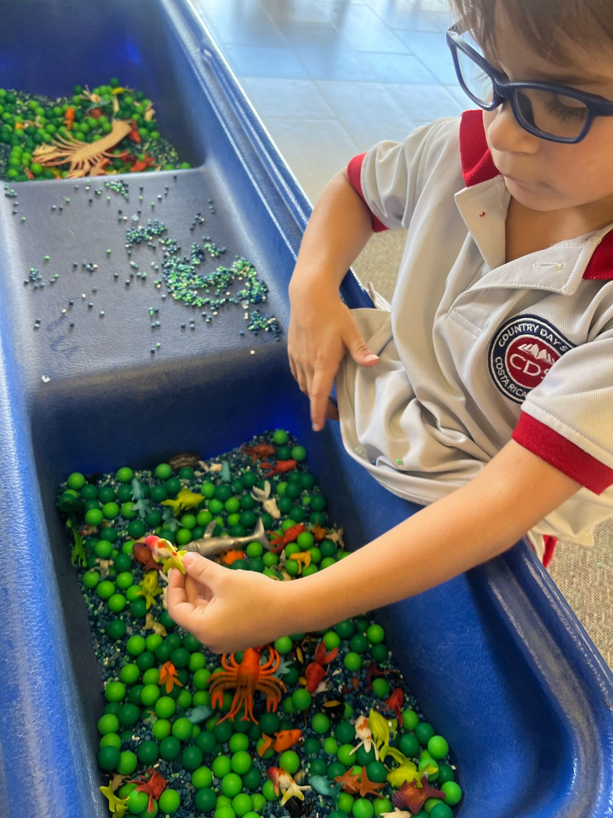 Learning by Doing: Hands-On Exploration in Early Childhood Education - 13 CDS Directors Blog