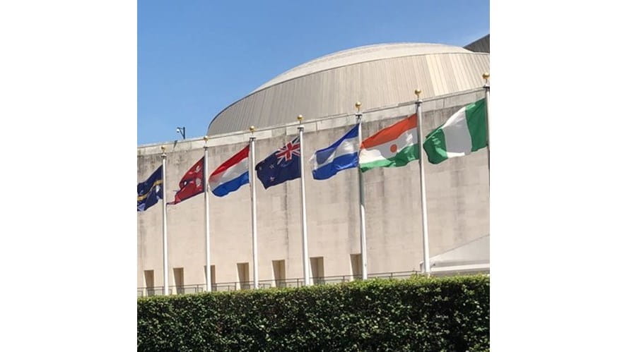 40252croppedw463h463of1FFFFFFpagelinkunbuilding