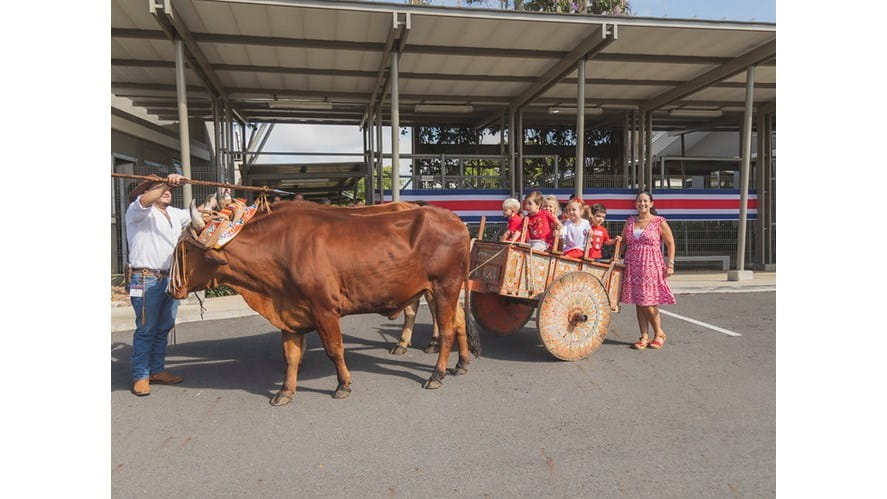 52357635401_94c74df984_c