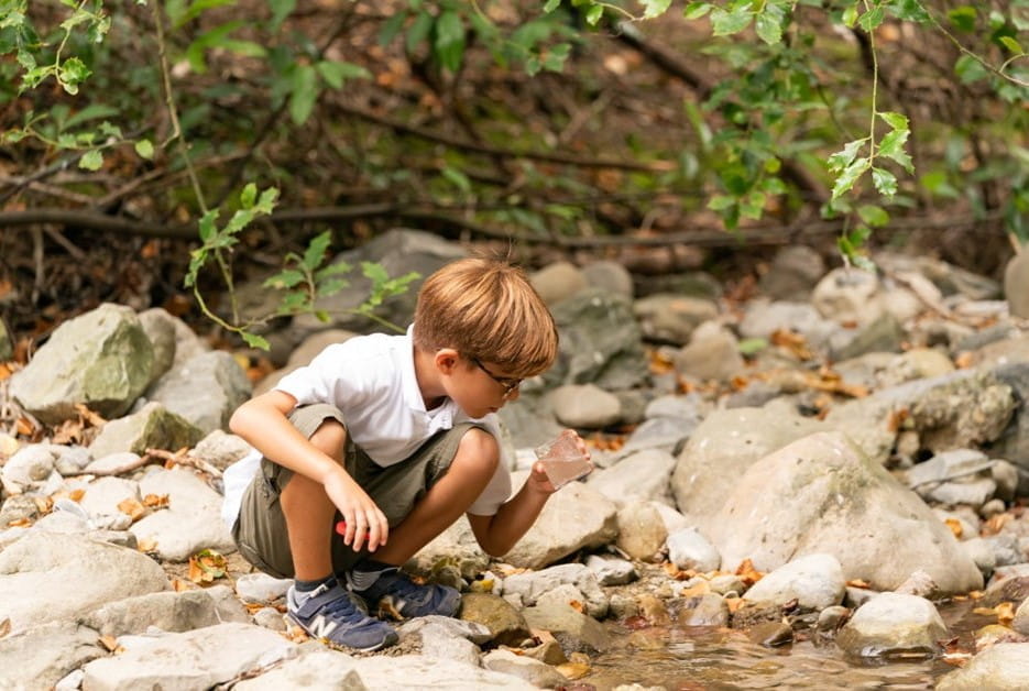 76401paddedw982h628of1f8f4f3collegechampittetforestschoolgallery2jpg