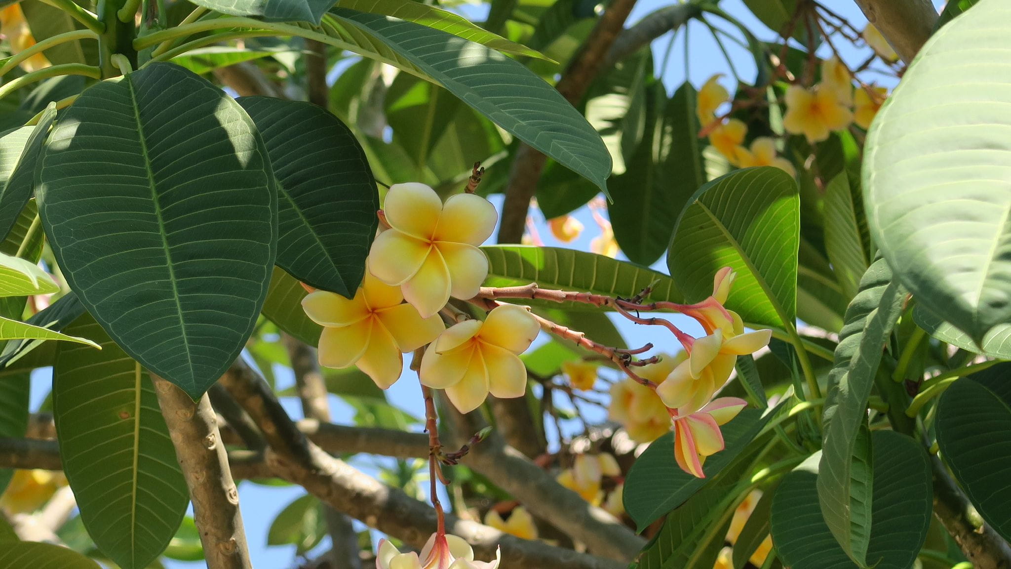 32fc08186ffa4acf9c72334863245097JPG