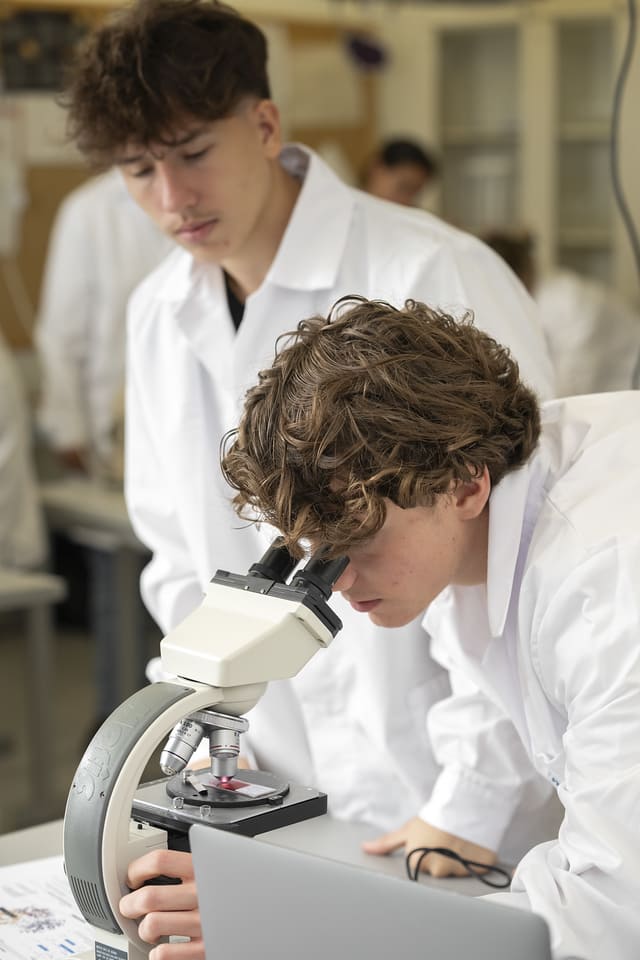 Internat Lausanne, Suisse | Collège Champittet - Visual Time Line Image And Text - Champittet