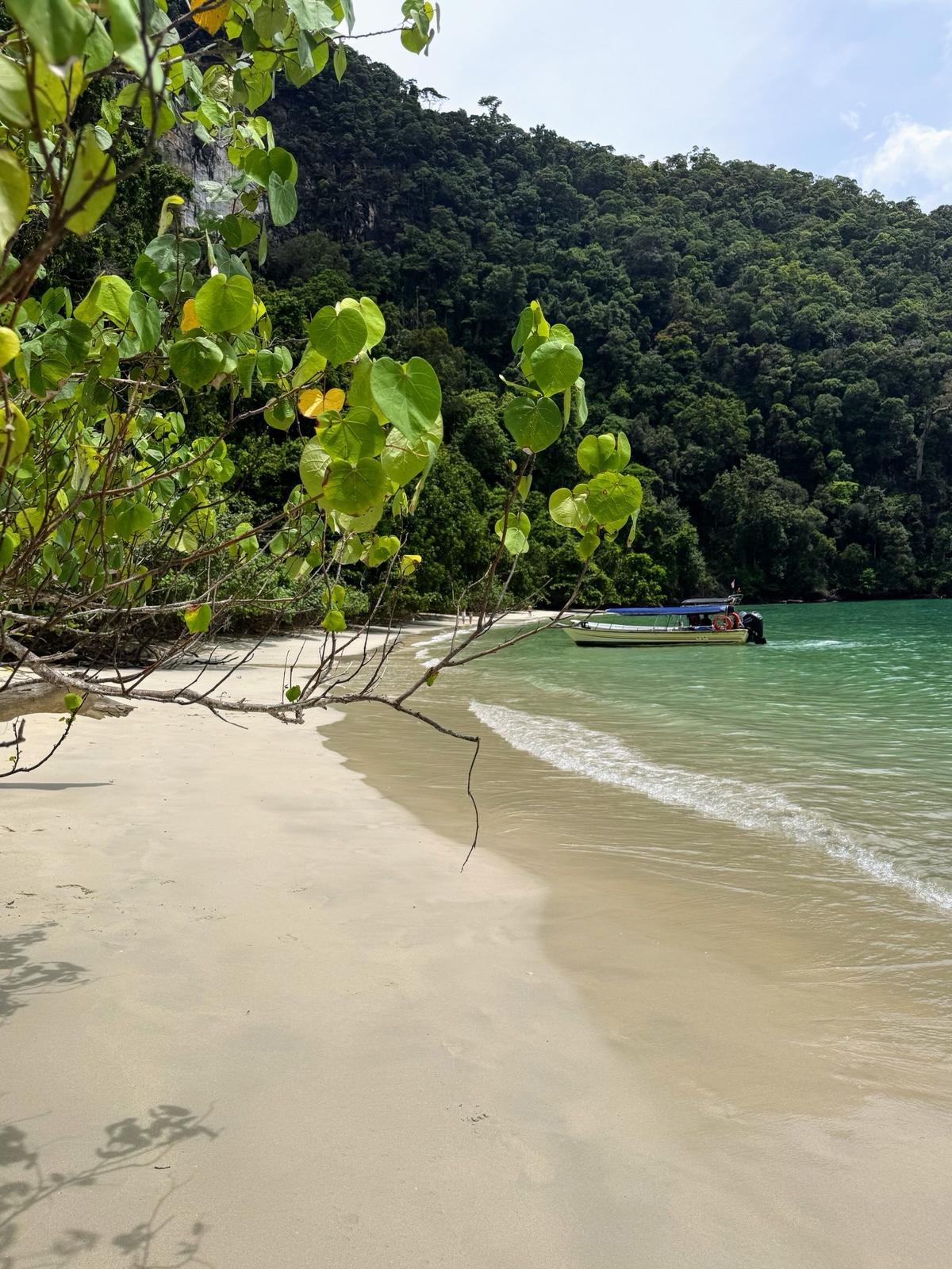 Beyond the classroom | Collège Champittet - Feature Cards - Champittet Trips expeditions