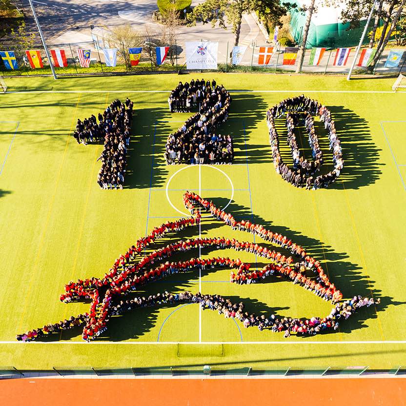 Partner Resources - Videos