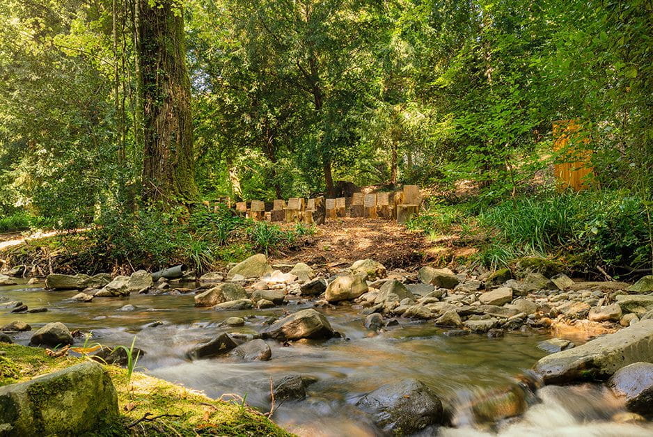 Collège Champittet Pully | Collège Champittet - Carousel Default - Champittet