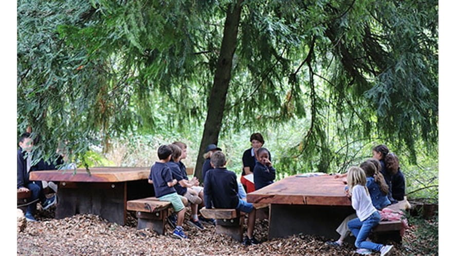 L’École à Ciel Ouvert-forest-school-ecolecielouvert1THUMB