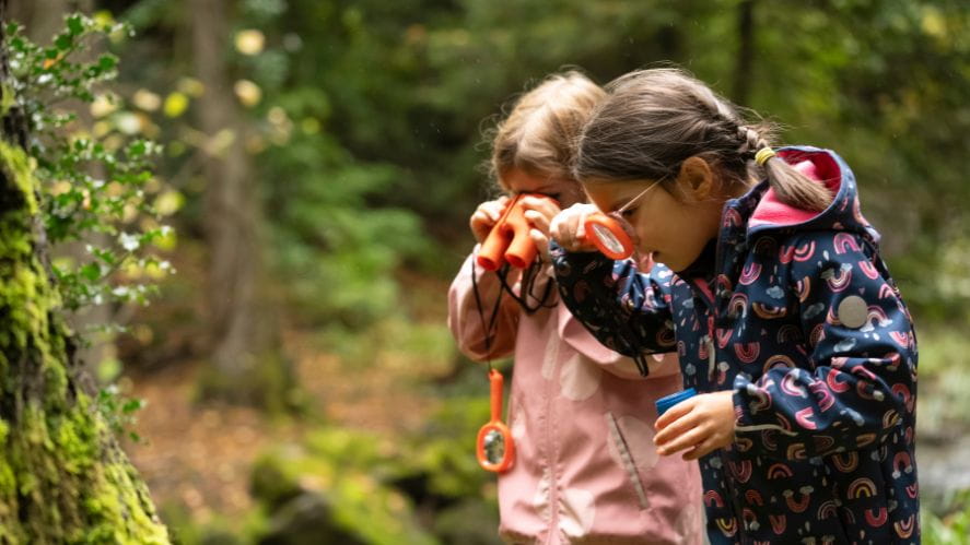 Forest School - Forest School
