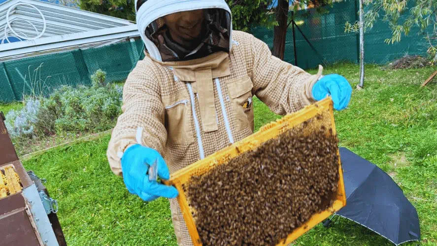 A sweet idea - A sweet idea