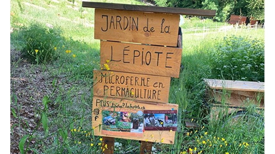 School trip to the Jardin de la Lépiote - 5th and 6th grade-school-trip-to-the-jardin-de-la-lpiote--5th-and-6th-grade-jardinlepiote7THUMB
