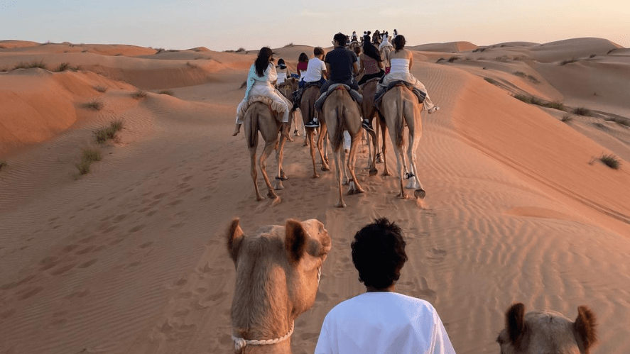 Trip to Oman for boarders - Trip to Oman for boarders