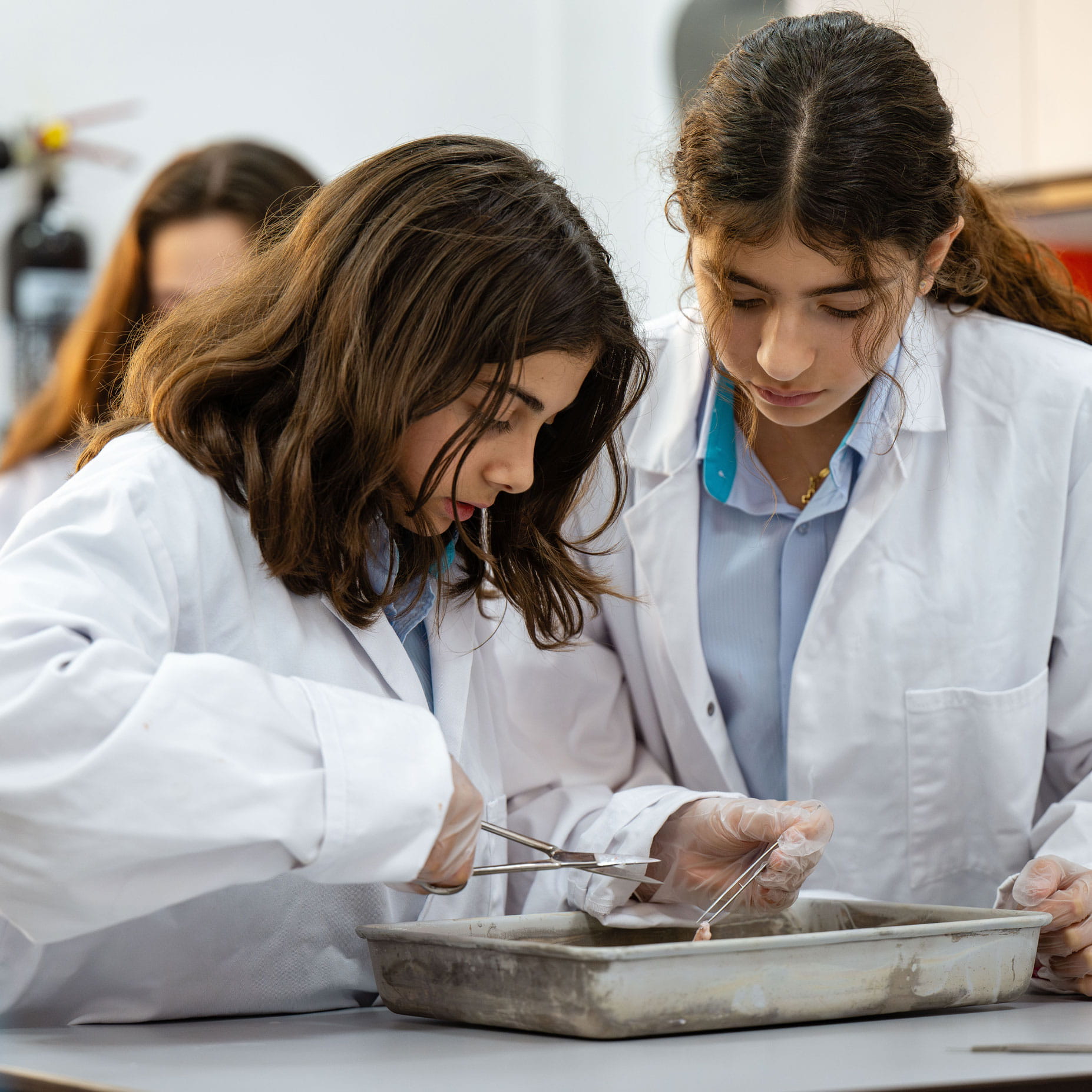 Lower Secondary Curriculum | Compass International School Doha - Small Text And Image