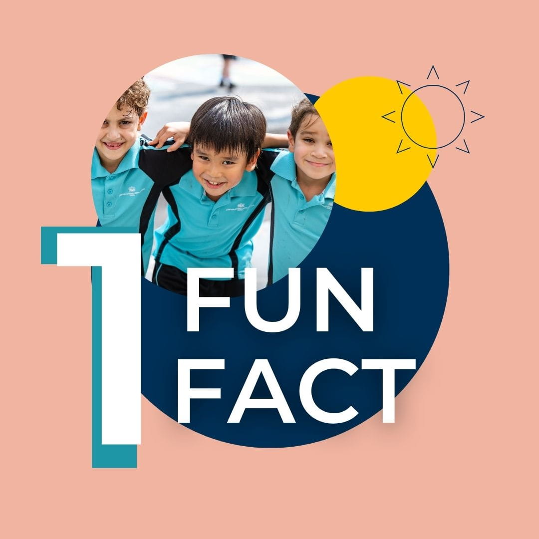 Welcome to Compass International School Doha - Feature Cards Pattern 1