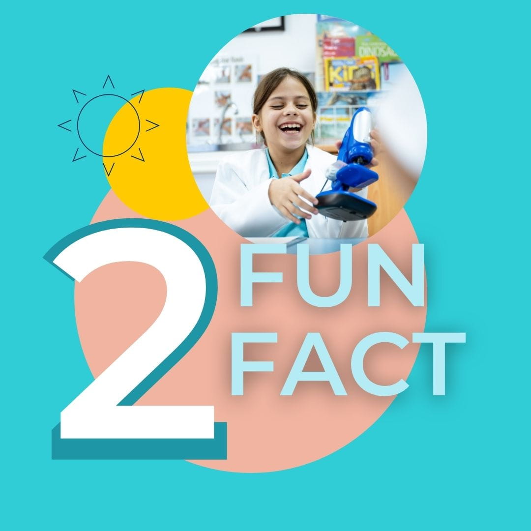 Nursery & Reception | Early Years Curricula | CIS Doha - Feature Cards Pattern 1