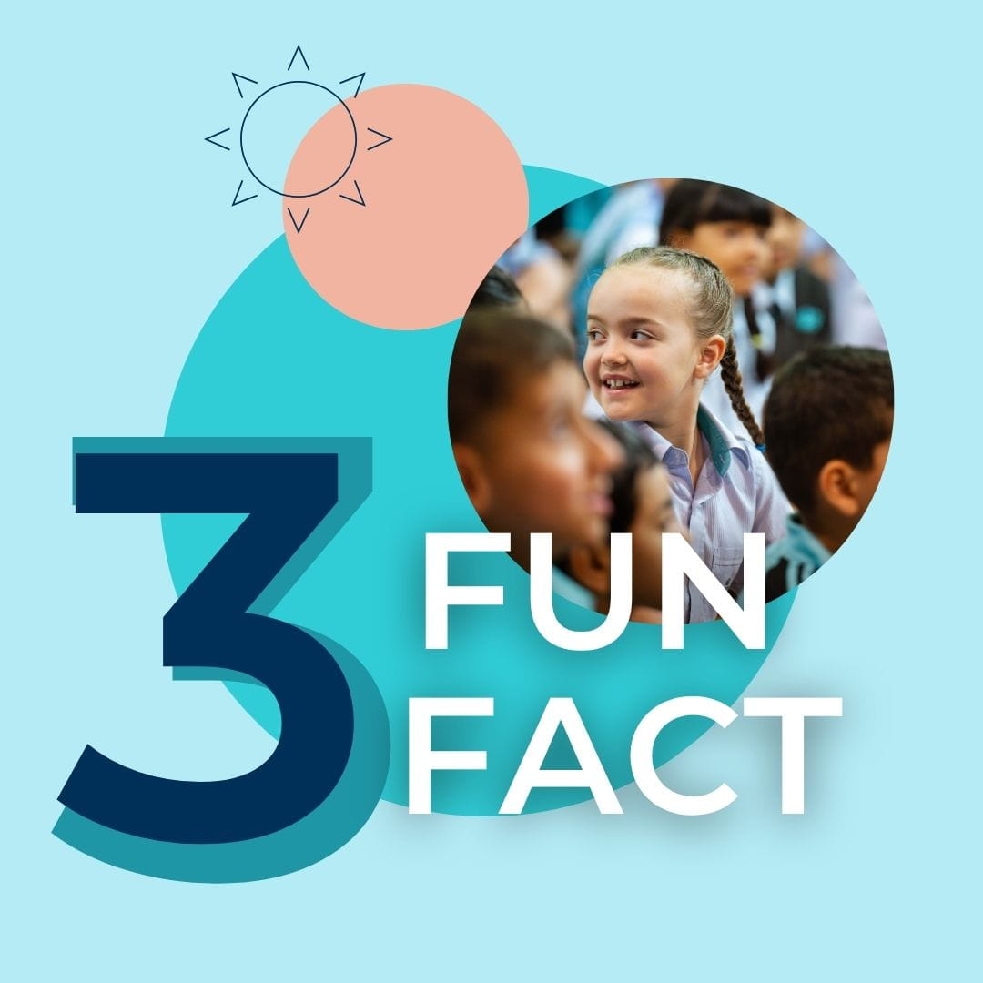 Nursery & Reception | Early Years Curricula | CIS Doha - Feature Cards Pattern 1