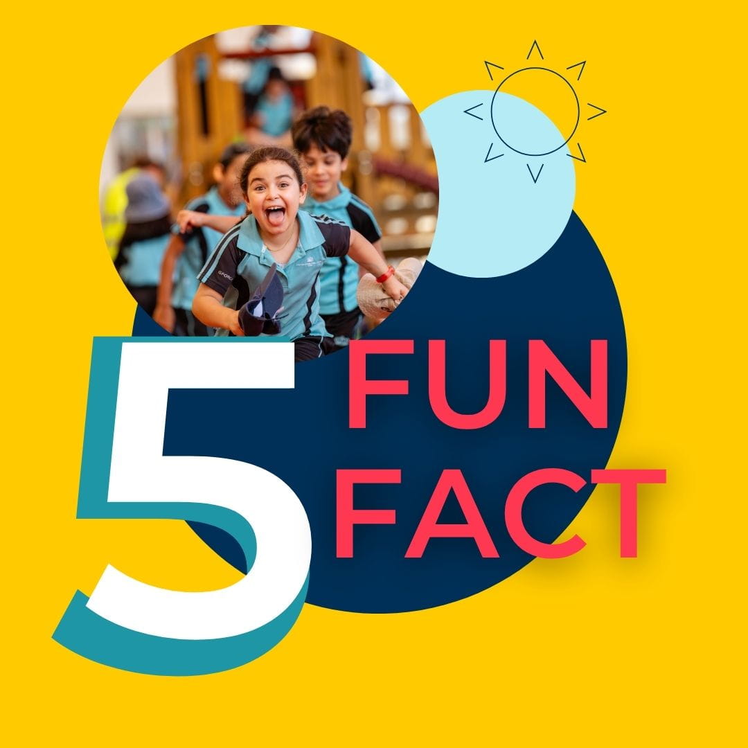 Nursery & Reception | Early Years Curricula | CIS Doha - Feature Cards Pattern 1