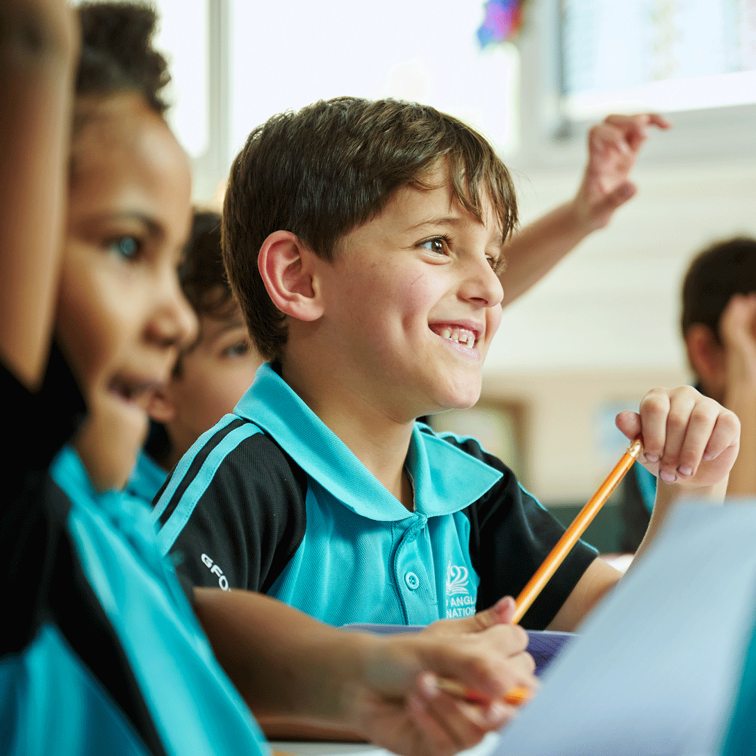 International Schools in Qatar | Nord Anglia Education - Feature Cards Pattern