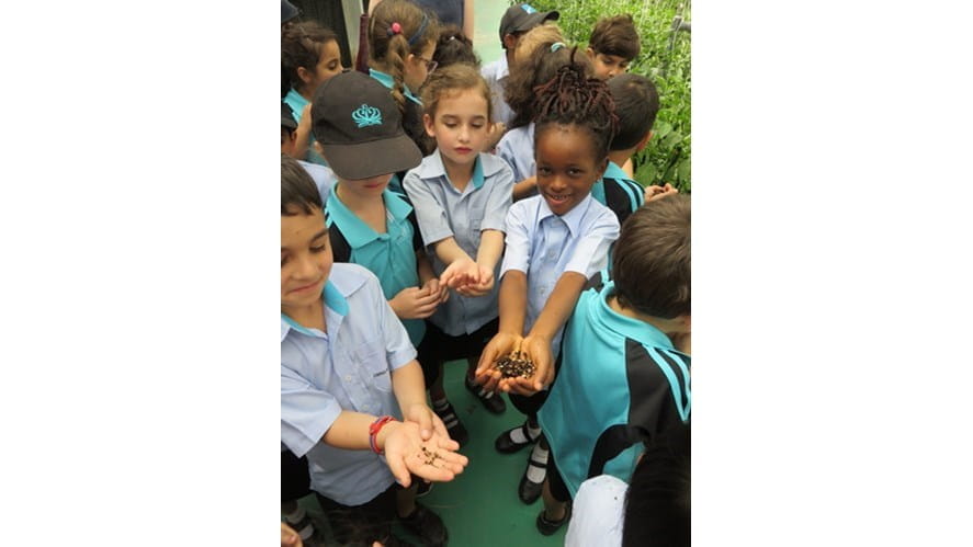 Gharaffa Year 1A Trip to Roza Hassad Gallery - gharaffa-year-1a-trip-to-roza-hassad-gallery