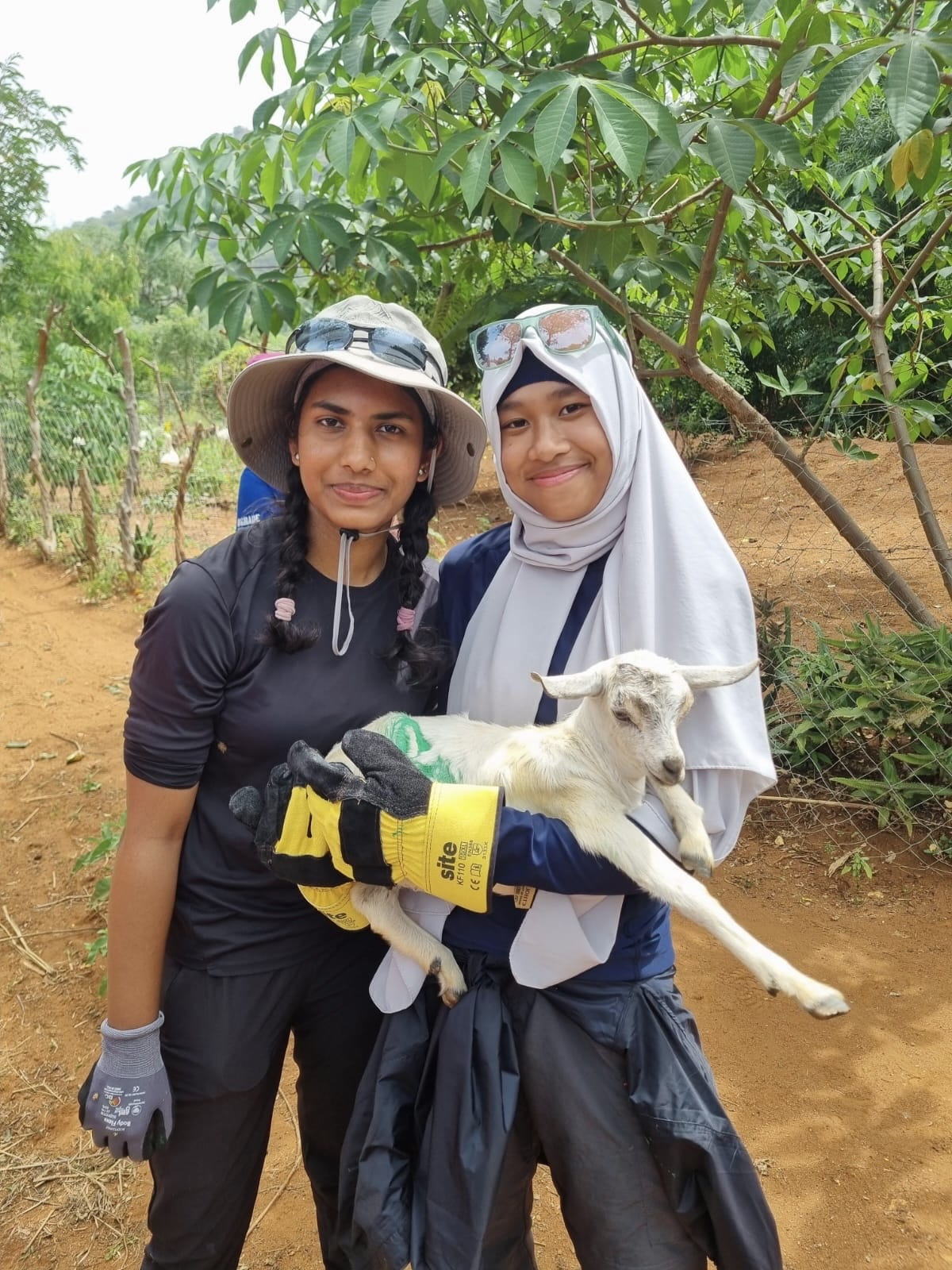 From goat deworming to global advocacy - How one IB student turned a goat rescue into a global lesson in leadership