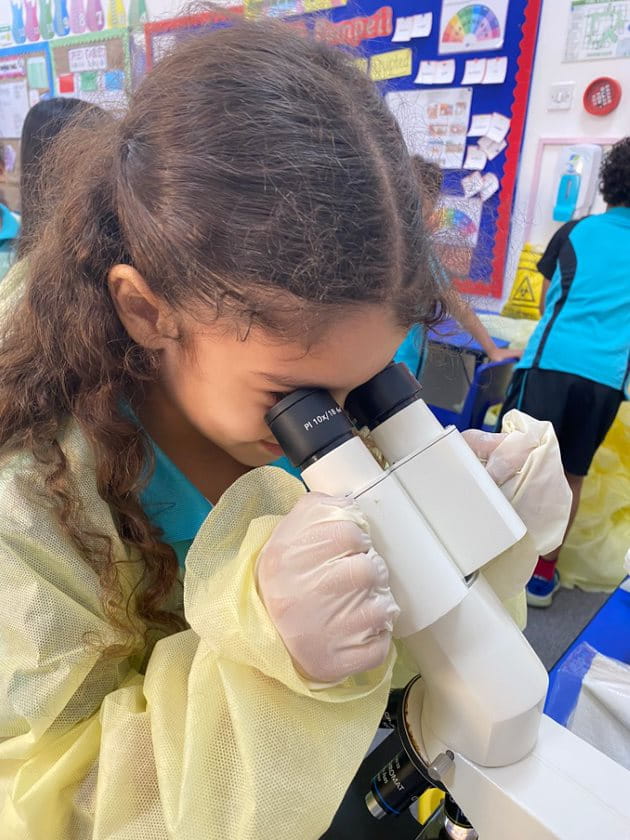 World Science Day - Carousel For News Detail