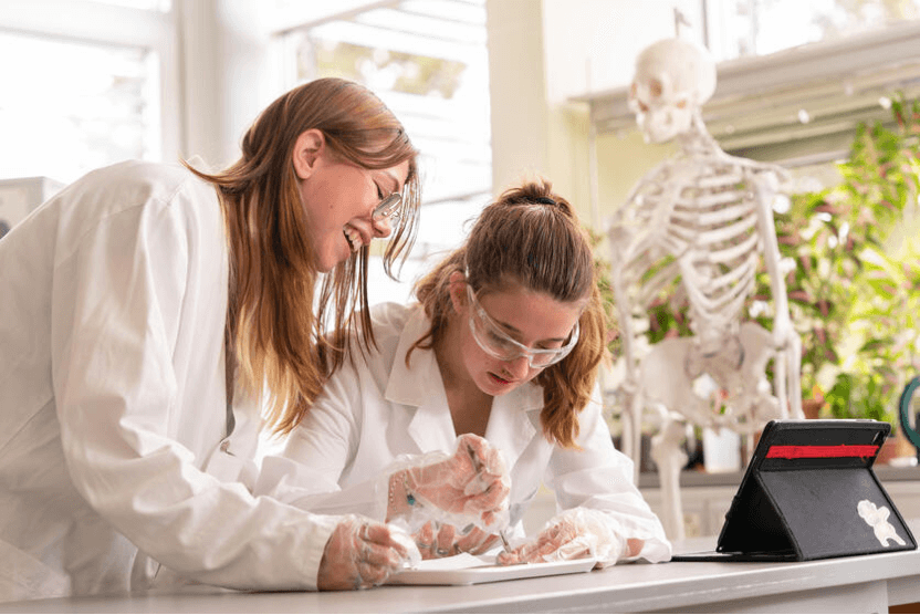 Students engaged in a science lab experiment, exploring curiosity and STEAM learning in a collaborative setting.