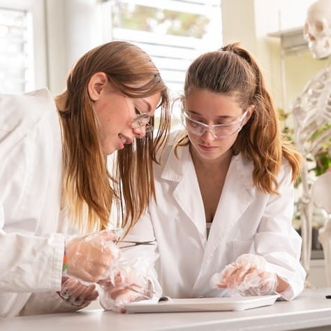 Camp d'été Pré-Université | Collège du Léman - Medicine - Small Text And Image - CDL 1