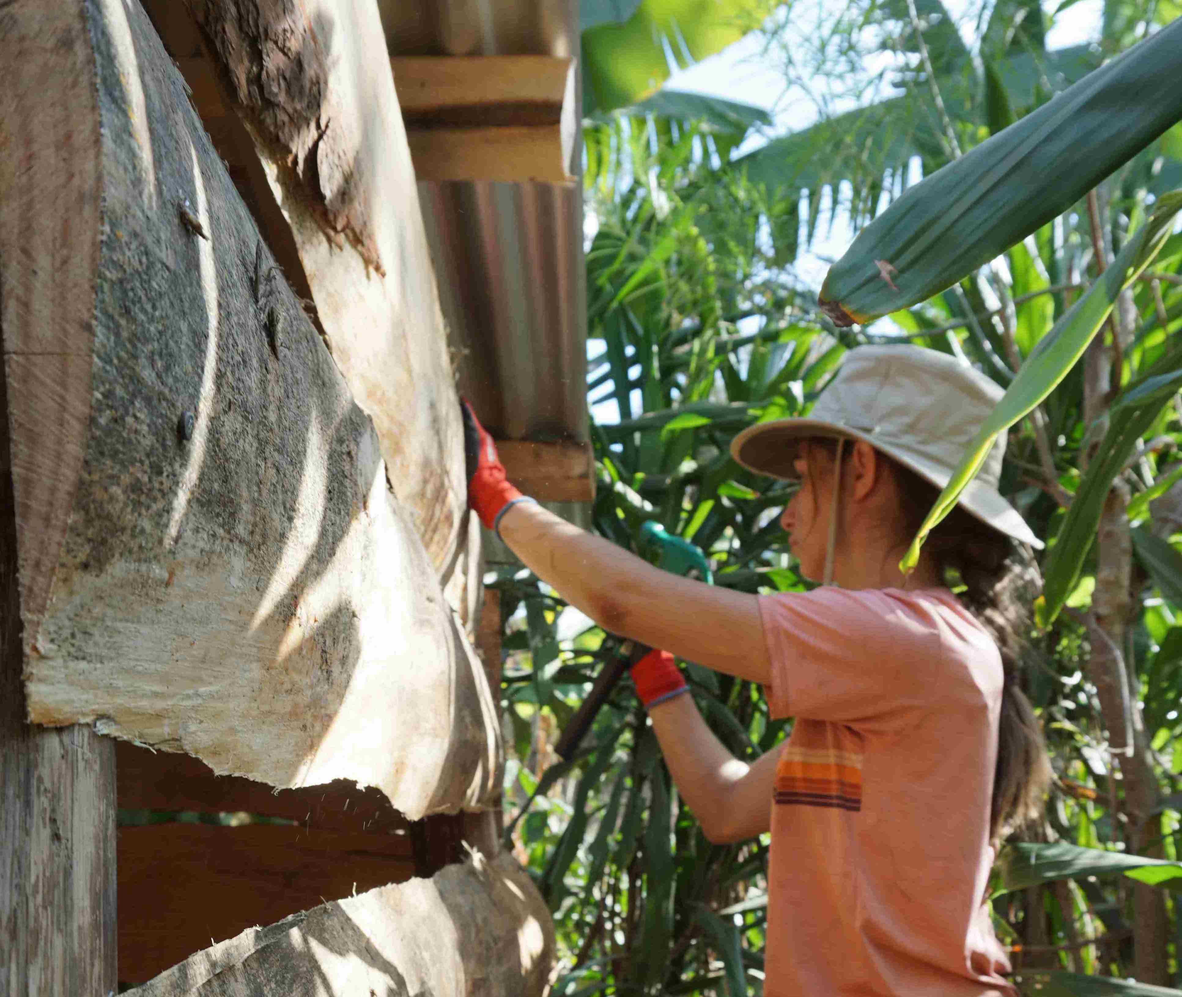 Collège du Léman | Unique Student Experiences & Programs - Feature Cards Pattern - CDL line