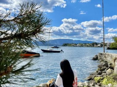 Collège du Léman | Unique Student Experiences & Programs - Feature Cards Pattern - CDL line