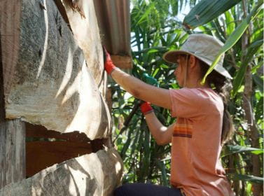 Collège du Léman | Unique Student Experiences & Programs - Feature Cards Pattern - CDL line