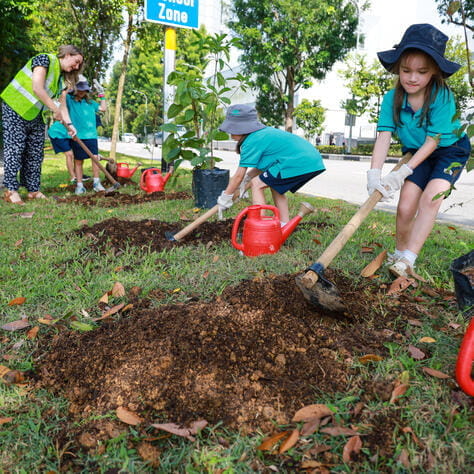 Image_DCIS_Singapore_2023_211