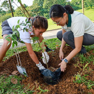 Image_DCIS_Singapore_2023_212